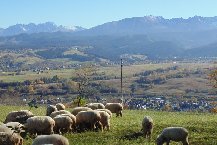 Pokoje Gościnne Zaliński